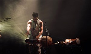 Affiche de Popimane trio | Festival Jazz sur Seine