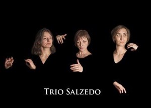 Affiche de Terres Nouvelles-Trio Salzedo