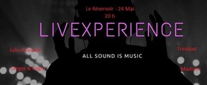 Affiche de Concert folk rock découverte d'artistes