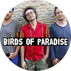 Affiche de Birds of Paradise - Olivier Py trio