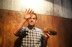 Affiche de Erwan et les oiseaux
