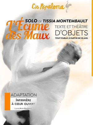 Affiche de L'écume des maux