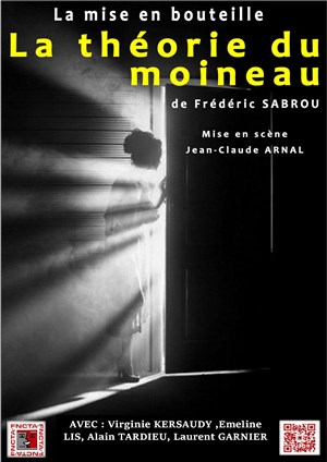 Affiche de La théorie du moineau