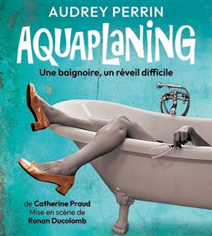 Affiche de Audrey Perrin dans Aquaplaning