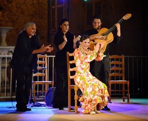 Affiche de Stage d'initiation au Flamenco