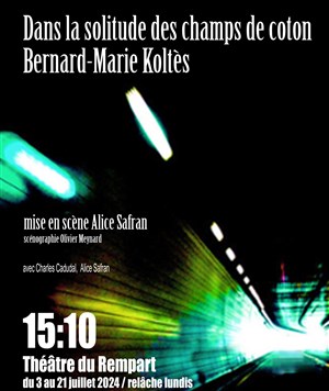 Affiche de Dans la solitude des champs de coton