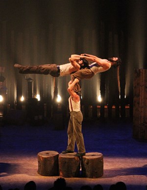 Affiche de Cirque Alfonse | Timber !