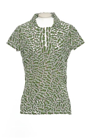 Affiche de Design et identité où comment le design réinvente une marque : Lacoste