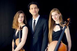 Affiche de Trio Aralia