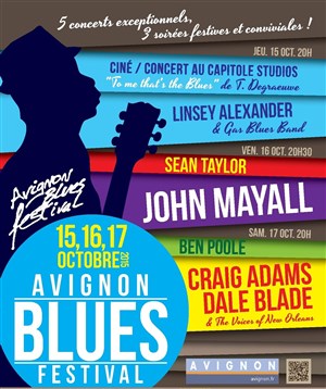 Affiche de Avignon blues festival 2015 | Pass 2 soirs
