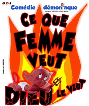 Affiche de Ce que femme veut Dieu le veut