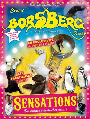 Affiche de Cirque Borsberg dans Sensations | - Courseulles sur Mer
