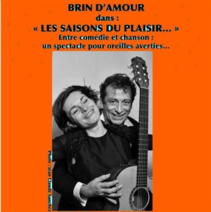 Affiche de Les saisons du plaisir
