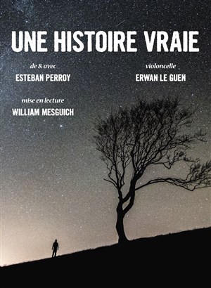 Affiche de Une histoire vraie