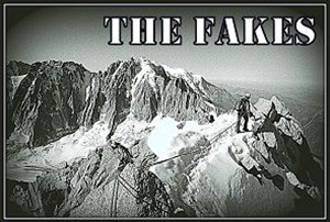 Affiche de The fakes
