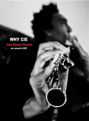 Affiche de Why Cie
