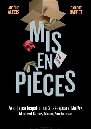 Affiche de Mis en pièces
