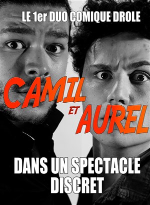 Affiche de Camil et Aurel dans Un spectacle discret