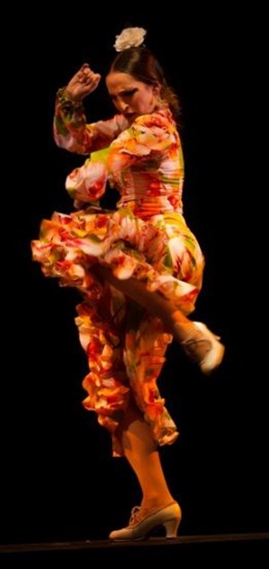 Affiche de Spectacle de Flamenco Traditionnel