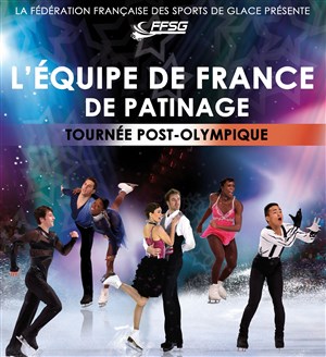 Affiche de Tournée de l'Equipe de France de Patinage 2014