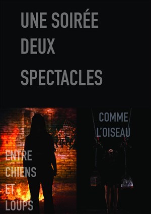 Affiche de Entre chiens et loups / Comme l'oiseau : deux spectacles pour le prix d'un