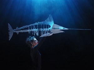 Affiche de Selkie, ce que l'on porte