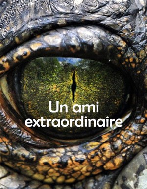 Affiche de Un ami extraordinaire