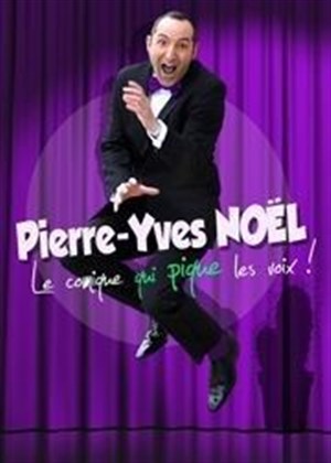Affiche de Pierre Yves Noël dans le comique qui pique les voix