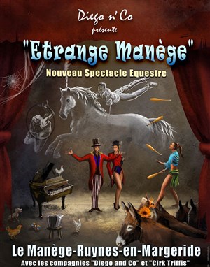 Affiche de Étrange manège