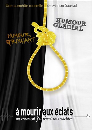 Affiche de À mourir aux éclats, ou comment j'ai réussi mes suicides...