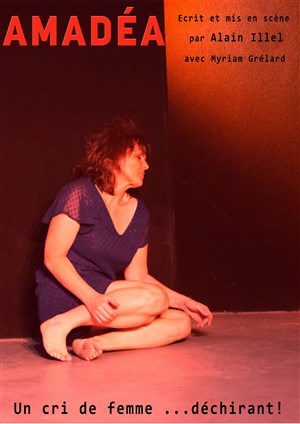 Affiche de Amadéa