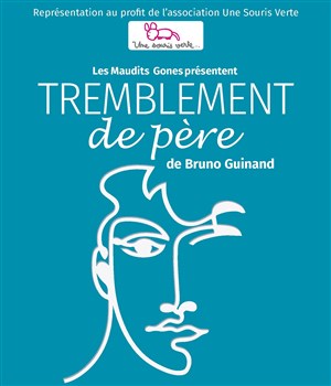 Affiche de Tremblement de père