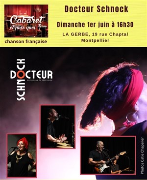 Affiche de Docteur Schnock