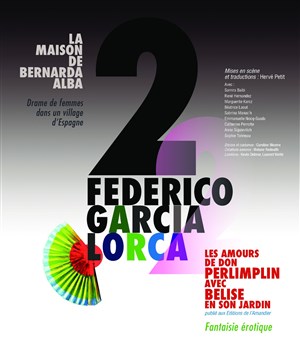 Affiche de Les amours de Don Perlimplin