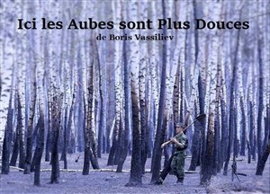 Affiche de Ici les aubes sont plus douces