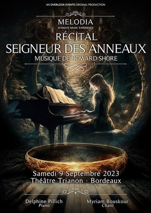 Affiche de Hommages Seigneur des Anneaux