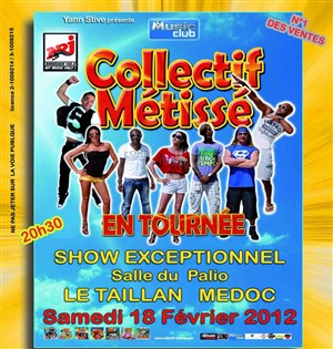 Affiche de Show Collectif Metisse