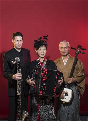 Affiche de Melting-pot trio concert