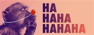 Affiche de Histoires d'horreur (à mourir de rire)