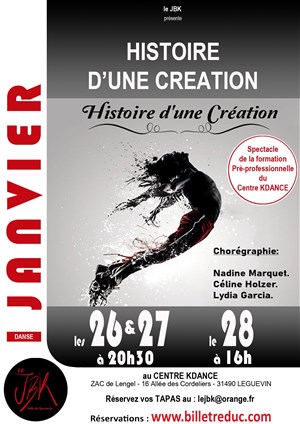 Affiche de Histoire d'une creation
