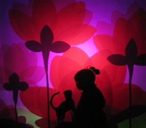 Affiche de Lian et le Lotus