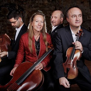 Affiche de Quatuor à cordes Ludwig