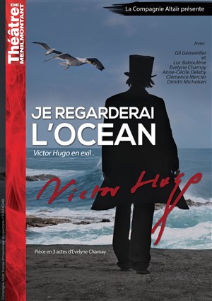 Affiche de Je regarderai l'océan