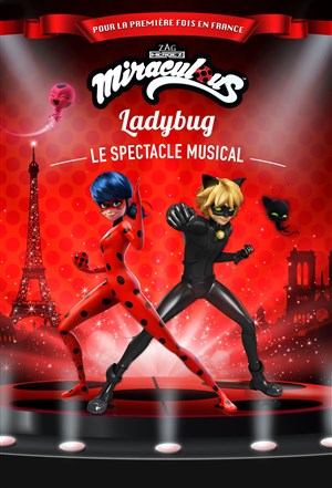 Affiche de Miraculous