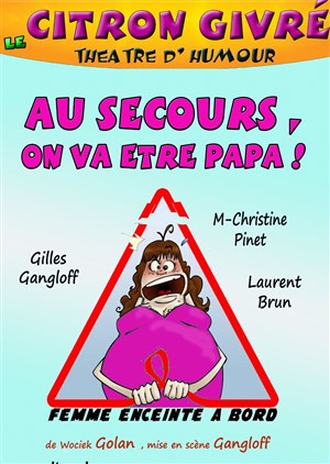 Affiche de Au secours, on va être papas !