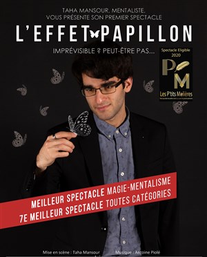 Affiche de L'effet papillon