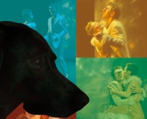 Affiche de La Ballade de Mrs Blondie et de son chien Billy dans New York la nuit