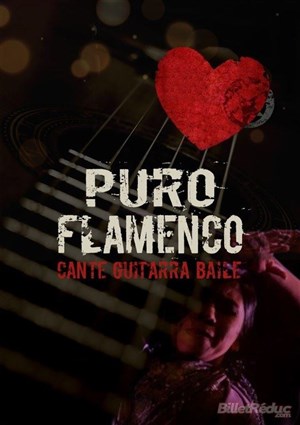 Affiche de Puro Flamenco
