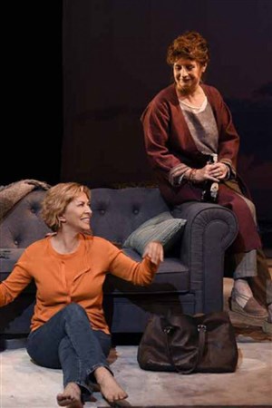 Affiche de Juste une embellie | avec Corinne Touzet