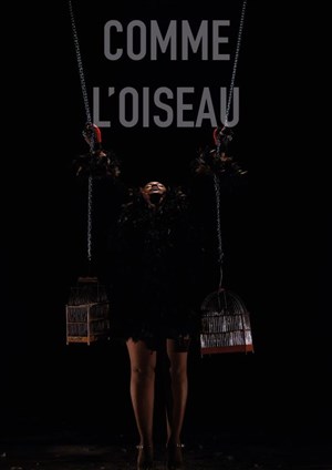 Affiche de Comme l'oiseau